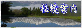 �z�e���ߕӂ̔鋫�E���R