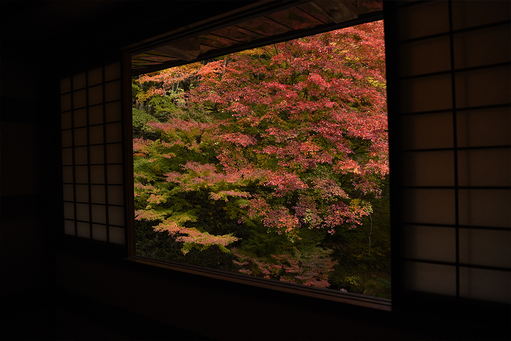 ファイル 251-5.jpg
