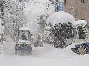 雪降ってます!