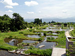 国営アルプスあずみの公園